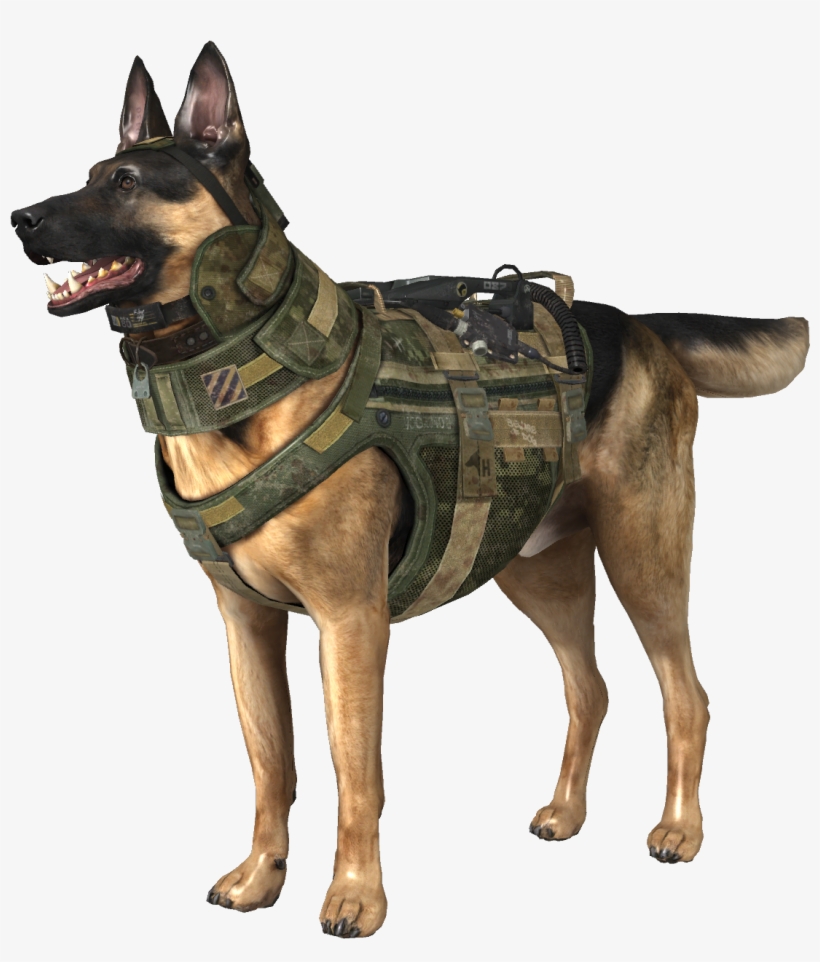 Riley Model Codg - Riley Call Of Duty Ghosts, transparent png #3423938