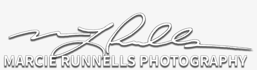 Marcie Runnells Photography - Calligraphy, transparent png #3427972