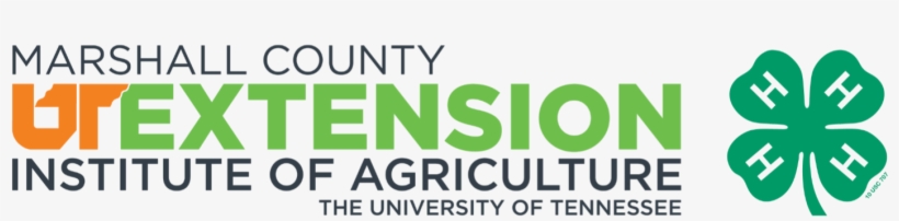 Marshall Co 4-h Logo - Advanced Master Beef Producer, transparent png #3430728
