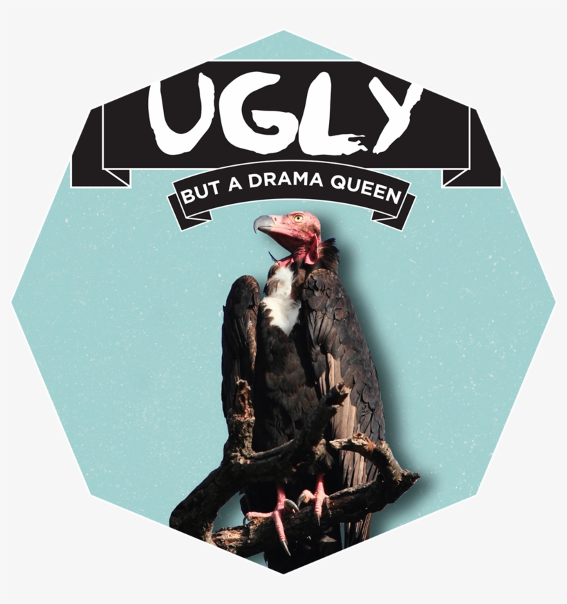 Uglyanimals, transparent png #3431248