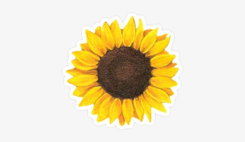 Sunflower Tumblr Sricker Adesivo - Sunflower Tattoo, transparent png #3431332