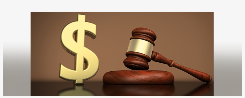 Adjustacam V Newegg Patent Appeal Case Summary - Judge, transparent png #3431908