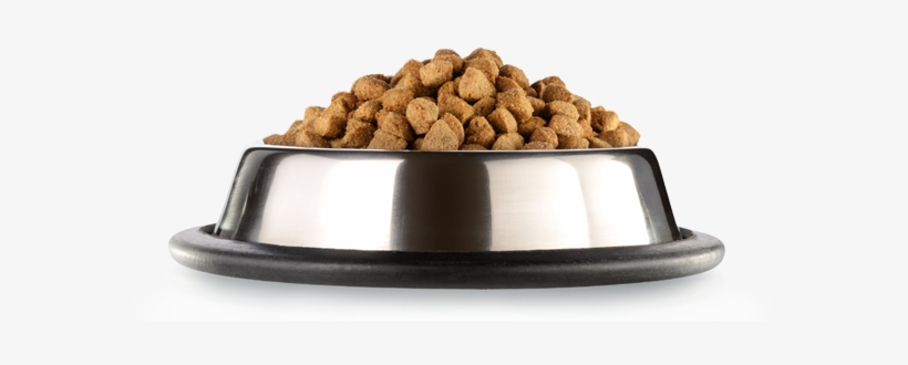 Low Carb Pet Food Manhaten - Cat, transparent png #3432319