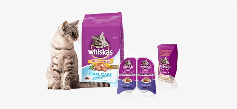 Does Your Cat Love Whiskas® - Whiskas Whiskas Oral Care With Real Chicken, 3kg, Dry, transparent png #3432694