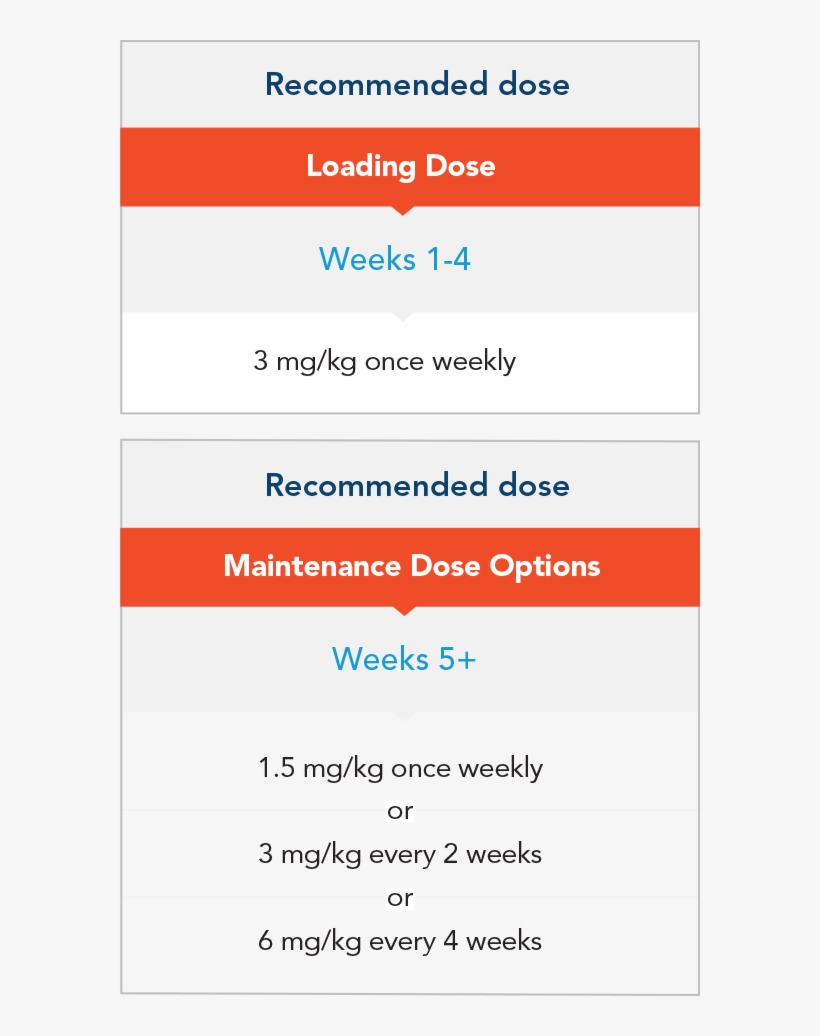 Hemlibra® Recommended Loading Dose And Maintenance - Maintenance Dose, transparent png #3433720