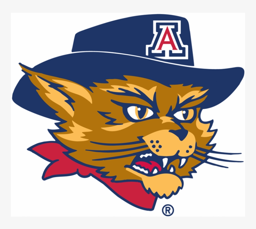 Arizona Wildcats Iron Ons - University Of Arizona Wildcats Mascot, transparent png #3435982