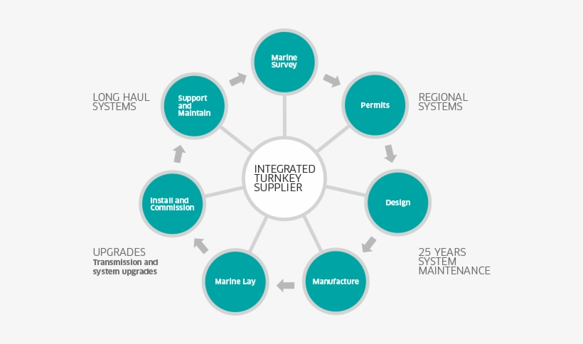 Integrated Turnkey Supplier Graphic - Processos De Recrutamento E Seleção, transparent png #3436269