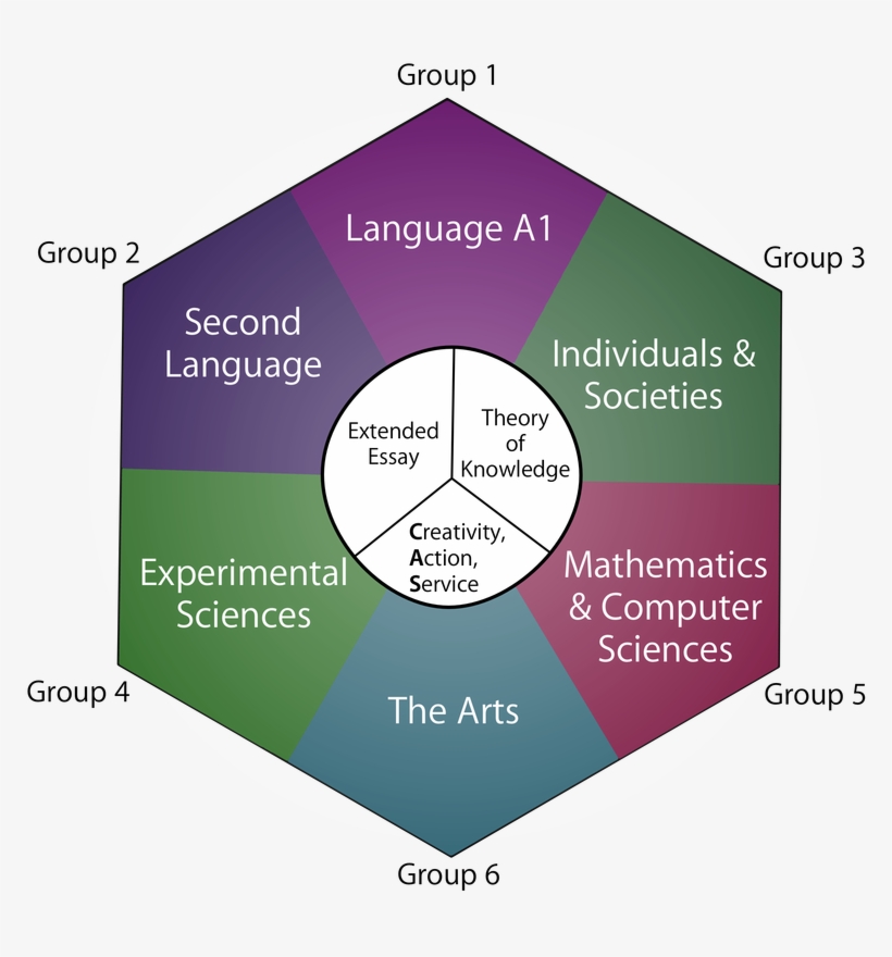 International Baccalaureate Areas Of Study, transparent png #3437559
