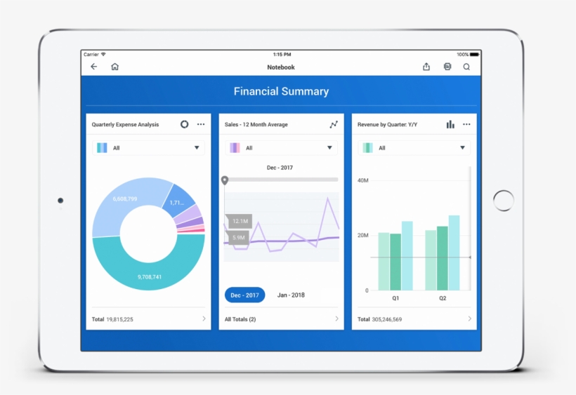 Big Results For Enterprises Of Every Size - Workday Financial Management, transparent png #3439204