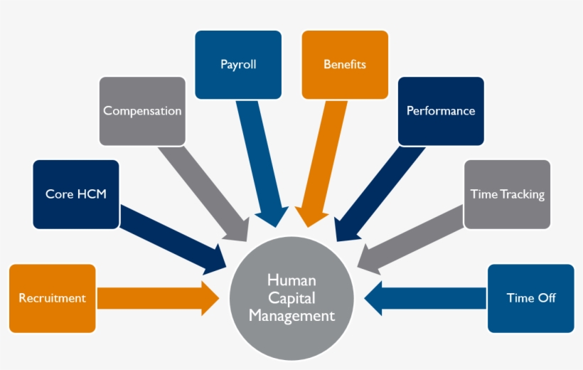 Info Graphic Image Shows Applications Of Workday Hcm - Functions Of Industrial Relations, transparent png #3439534