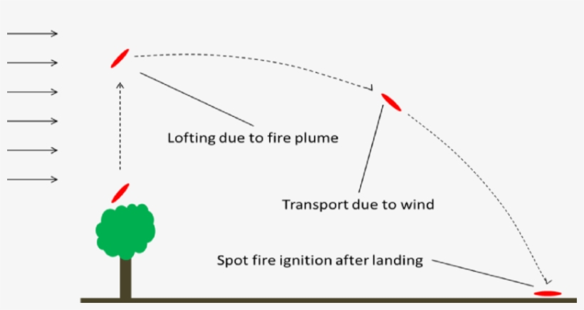 Schematic Diagram Of Lofting, Transport, And Spotting - Diagram, transparent png #3441190