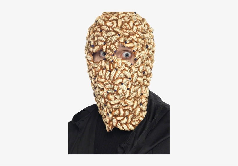 Halloween Costumes For Pmps - Do Maggots Turn Into, transparent png #3441747