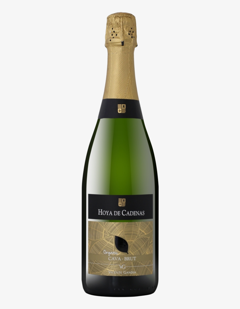 Hoya De Cadenas Cava, transparent png #3443765