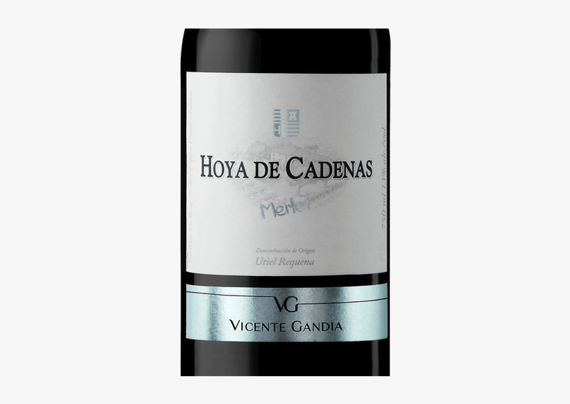 Bodegas Vicente Gandia, transparent png #3443839