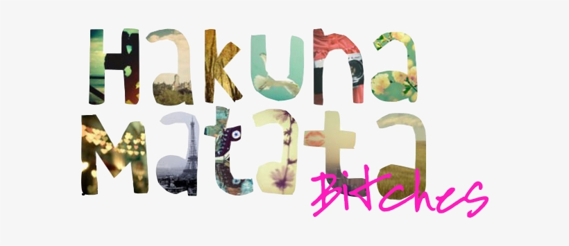 W-supplier Iphone 5 Case Customized High Grade Hakuna, transparent png #3444849