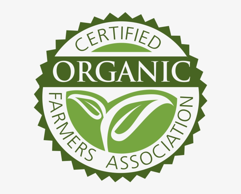 Florida A&m University Seal, transparent png #3446146