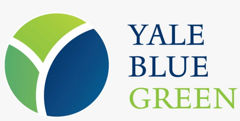 Yale Blue Green Is The Home For Yale Alumni Interested - Byzantine Rome And The Greek Popes: Eastern Influences, transparent png #3446343