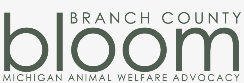 Nonprofit Logo Design - Circle, transparent png #3446815