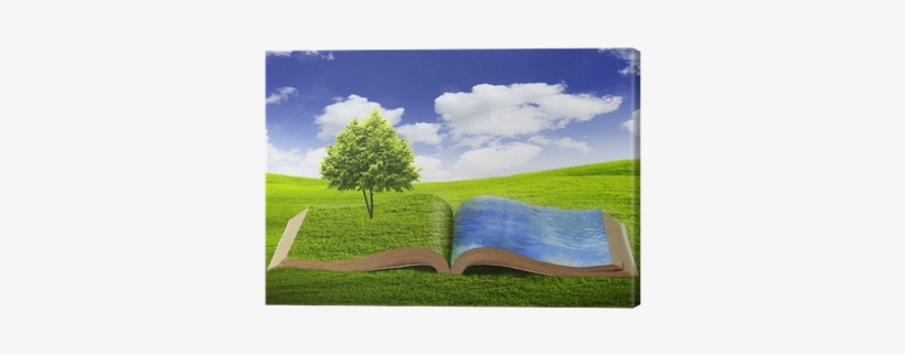 Creciendo Con Valores (growing With Values), transparent png #3446872