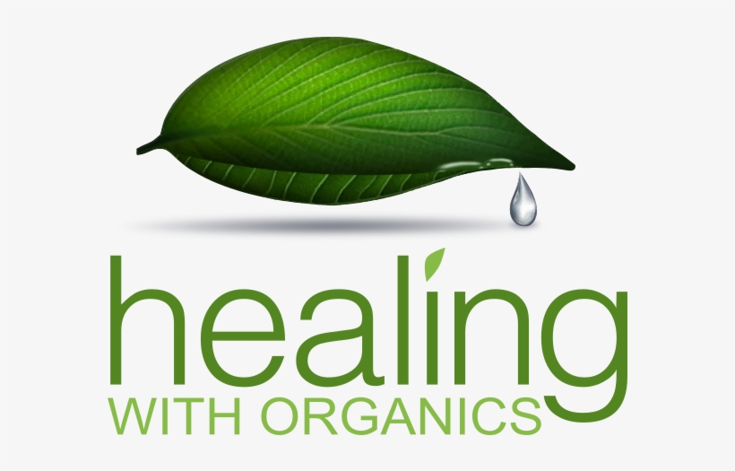 2016 Healing With Organics - Interactive Learning Experiences, Grades 6-12, transparent png #3446918