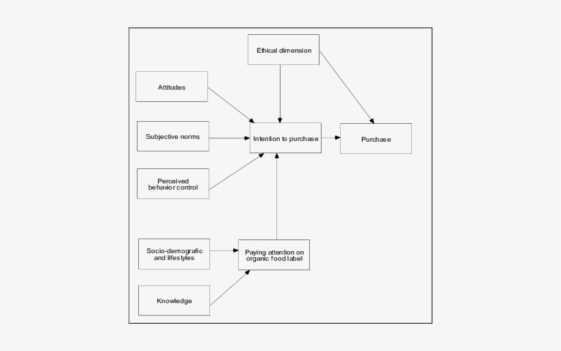 Model Of Intention To Purchase Organic Food Products - Organic Food, transparent png #3447240