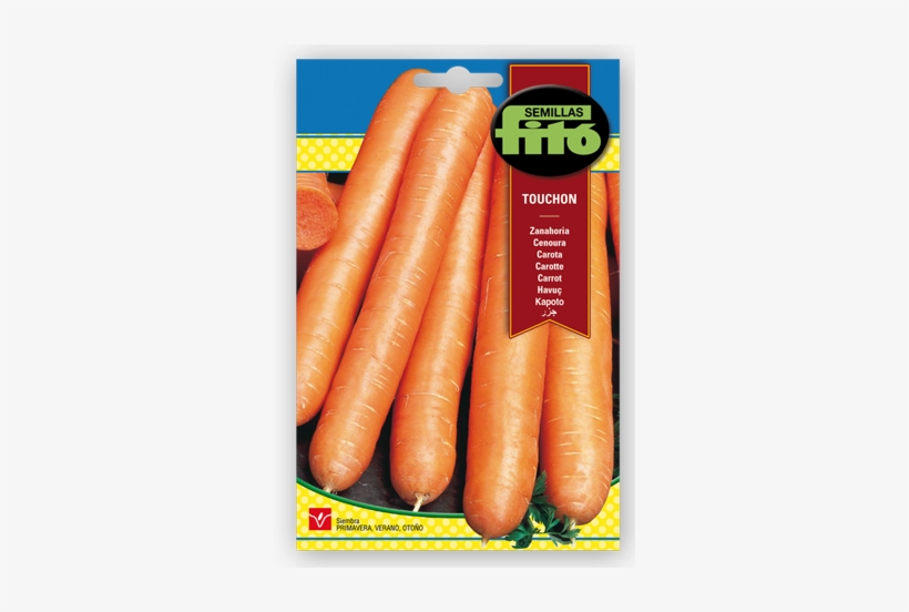 Carrot Touchon - Semillas Fitó Carrot Nantesa 5 - Nares, transparent png #3447560