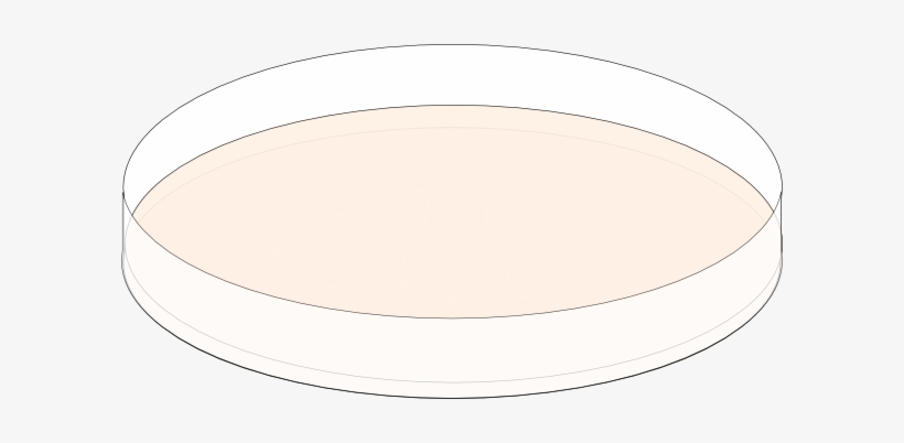 Circle, transparent png #3448095
