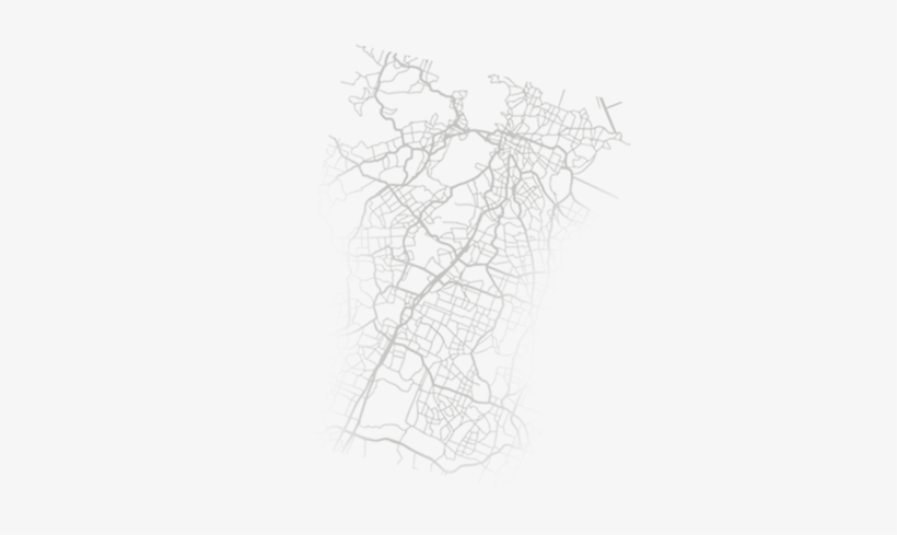 Para Buscar Cocodrilos Se Debe Ver El Reflejo De Sus - Drawing, transparent png #3448354