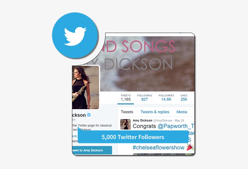 5k Followers - Twitter - Twitter Followers, transparent png #3448912