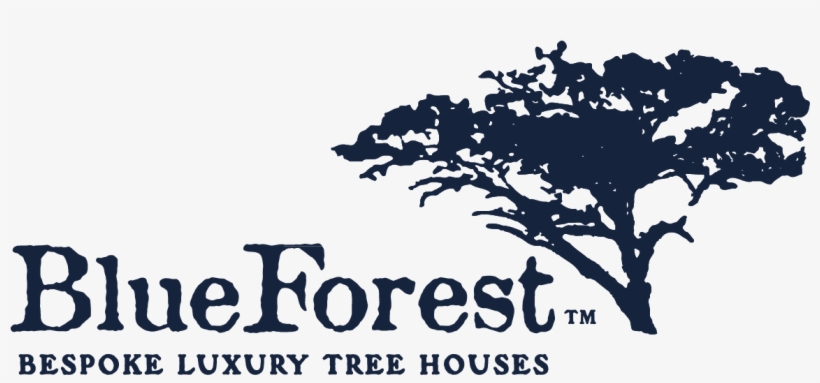 Blue Forest, transparent png #3448979