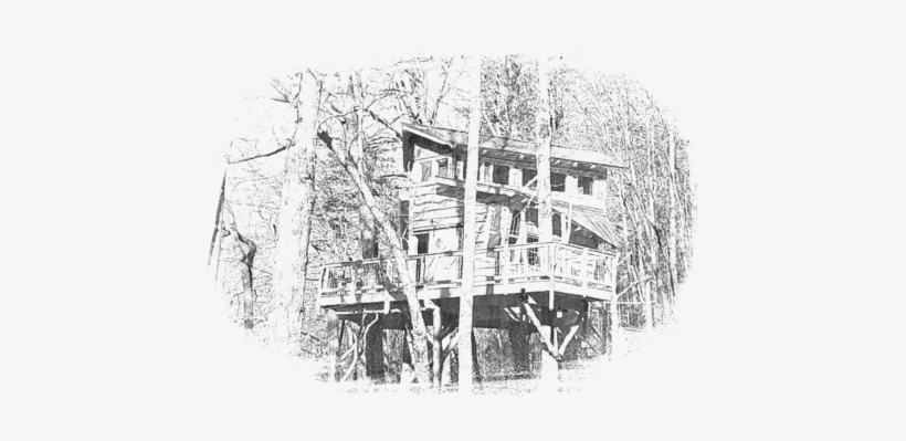 The Blue Ridge Treehouse Is Located At Bear Claw Vineyards - Blue Ridge Treehouse, transparent png #3449114