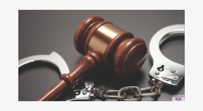 Calvin Johnson - Concise Dictionary Of Crime And Justice, transparent png #3449389