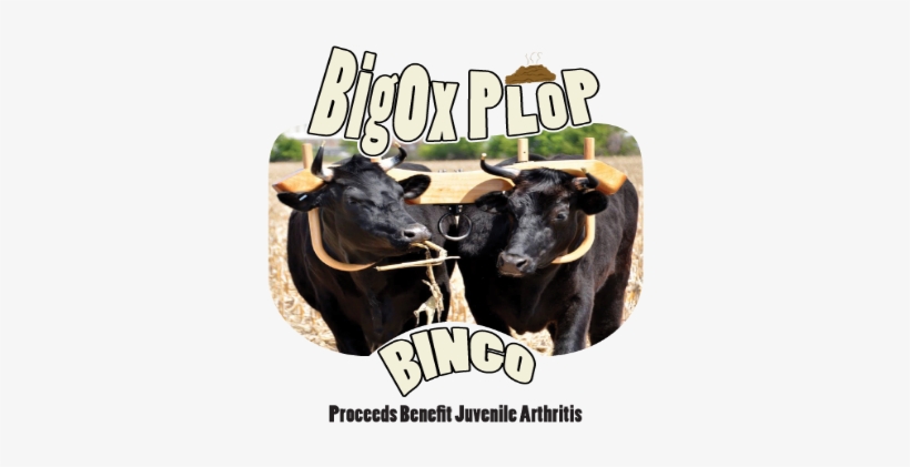 Water Buffalo, transparent png #3450682