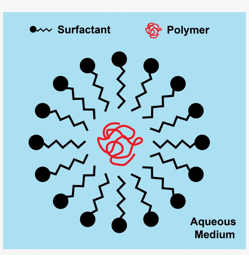 Surfactant Around A Polymer Chain In A Latex Paint - Anionic Surfactants, transparent png #3452817