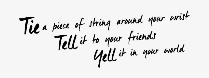 It Made Me Ask Questions Like - Furry Friends 2018 Calendar, transparent png #3454630