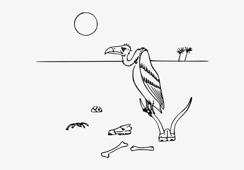 Vulture In The Desert Png Images 600 X - Desert Animals Clipart Black And White, transparent png #3455267