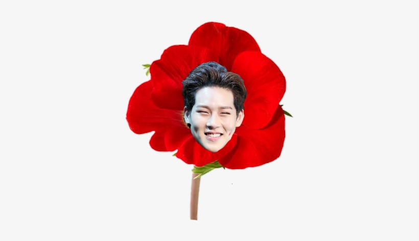 Flowers And Monsta X Icons - Clip Art Poppy Flower, transparent png #3455336
