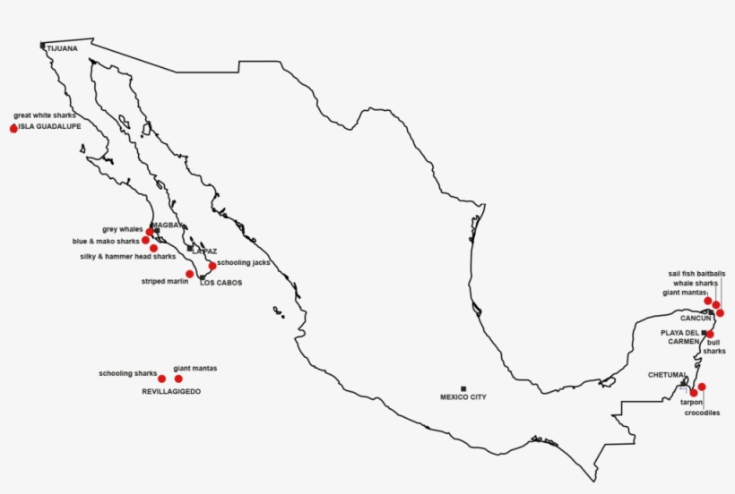 Mapa De Especies Pelágicas En México - Mexico Outline Map, transparent png #3455375