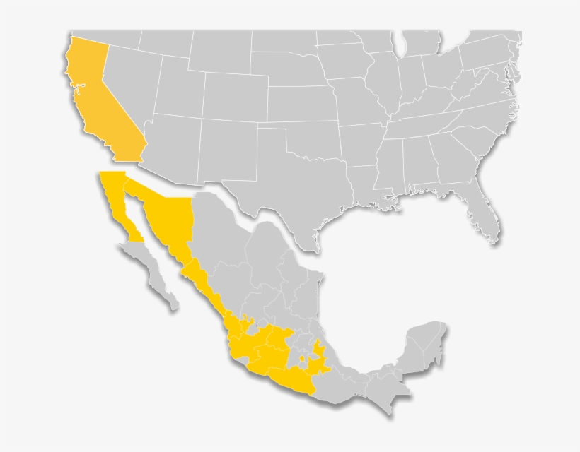 Redcoach En Mexico - Mexico, transparent png #3455447