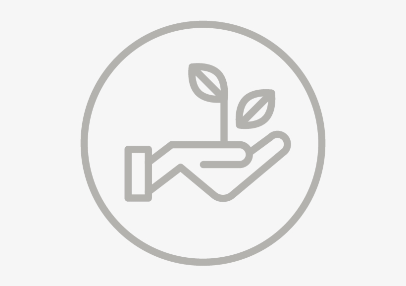 Design, transparent png #3455926