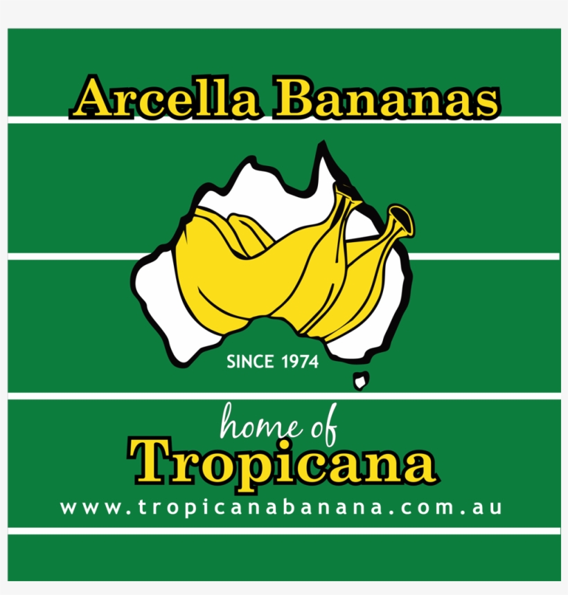 Arcella Tropicana - Square, Inc., transparent png #3456223