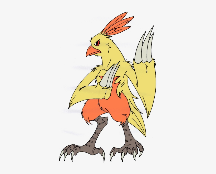 256 Combusken / Proud-piece By Kuruttra - Cartoon, transparent png #3457221