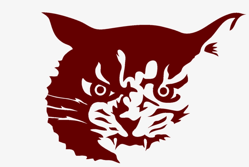 Wildcat Hauling - Wordpress, transparent png #3457440