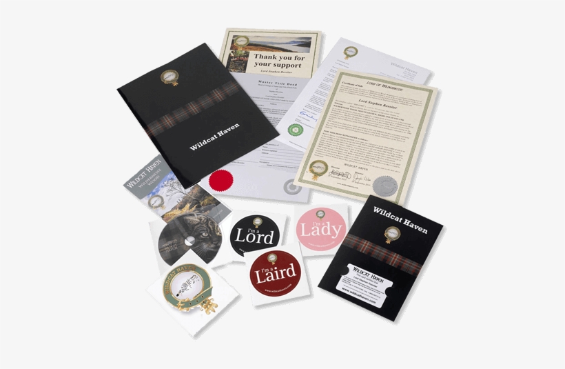 Gift Pack - Gift, transparent png #3457623