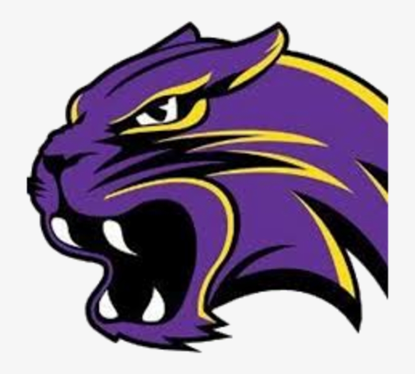 Purple Clipart Wildcat - Waconia Wildcats, transparent png #3457811