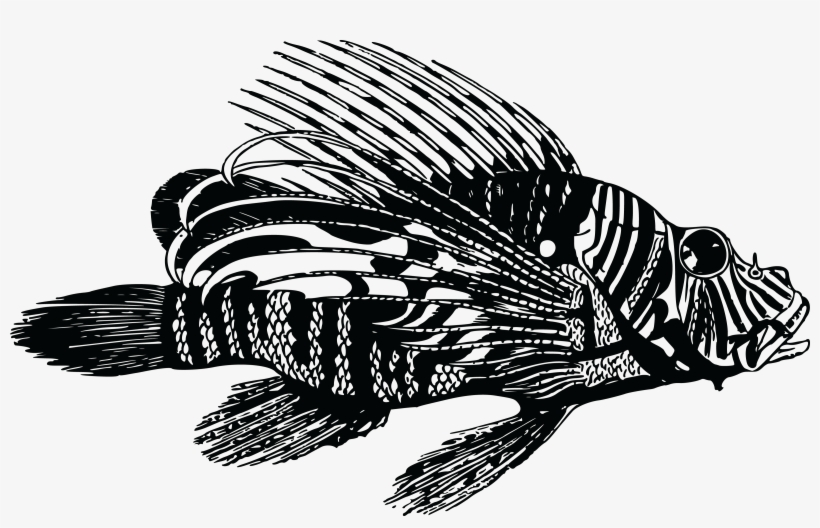 Lionfish Png, transparent png #3458017