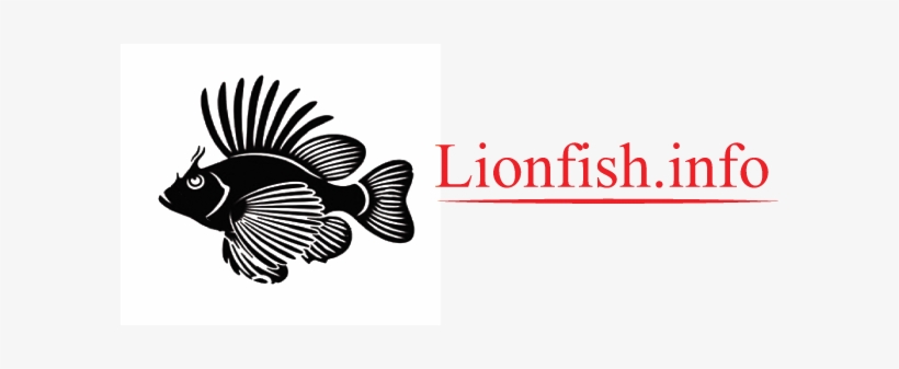 Lionfish Information - Lionfish, transparent png #3458077