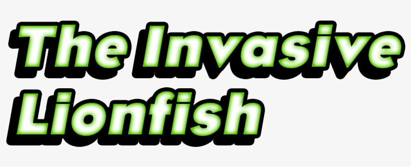 Biodiversity > Nature's Superheroes > The Invasive - Red Lionfish, transparent png #3458118