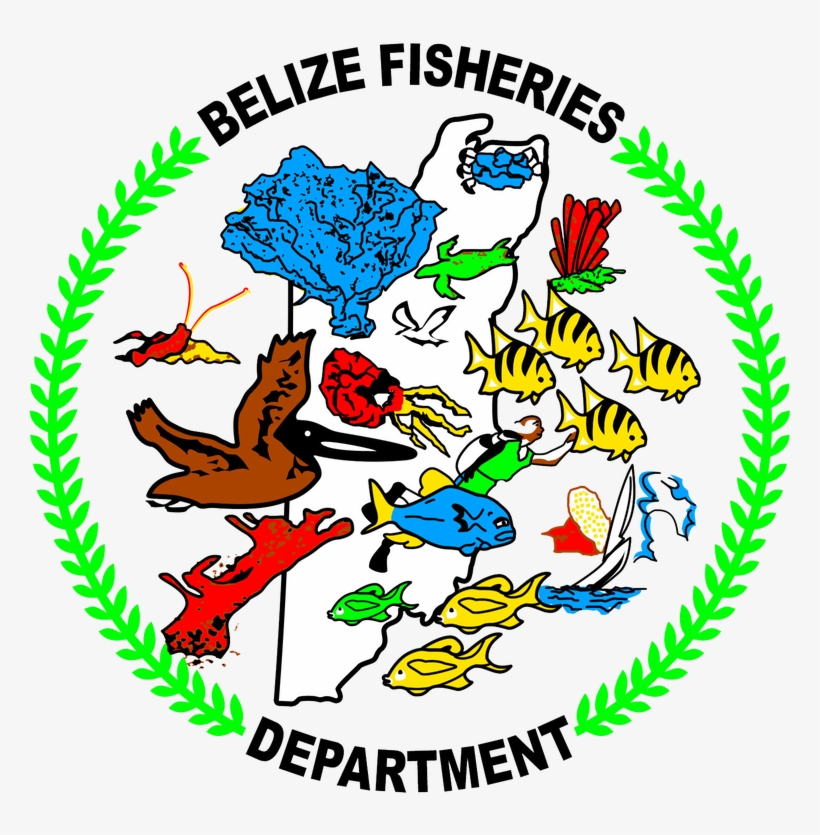 Picture - Fisheries Belize, transparent png #3458350