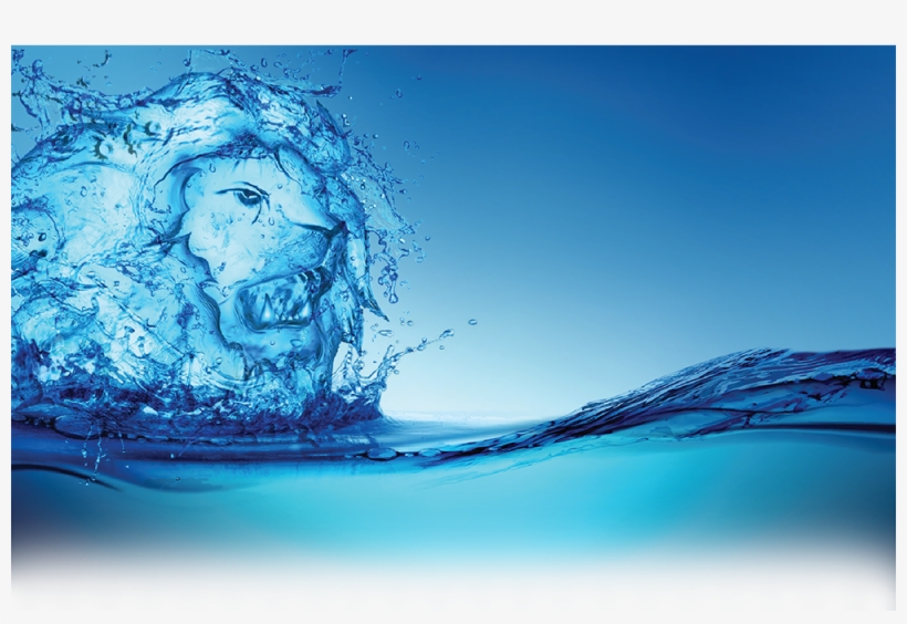 Lionfish - Sea, transparent png #3458437